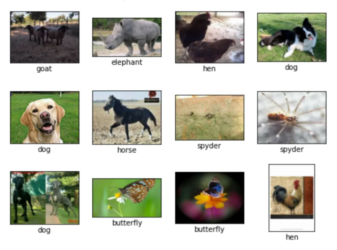 Results image grid showing model performance
