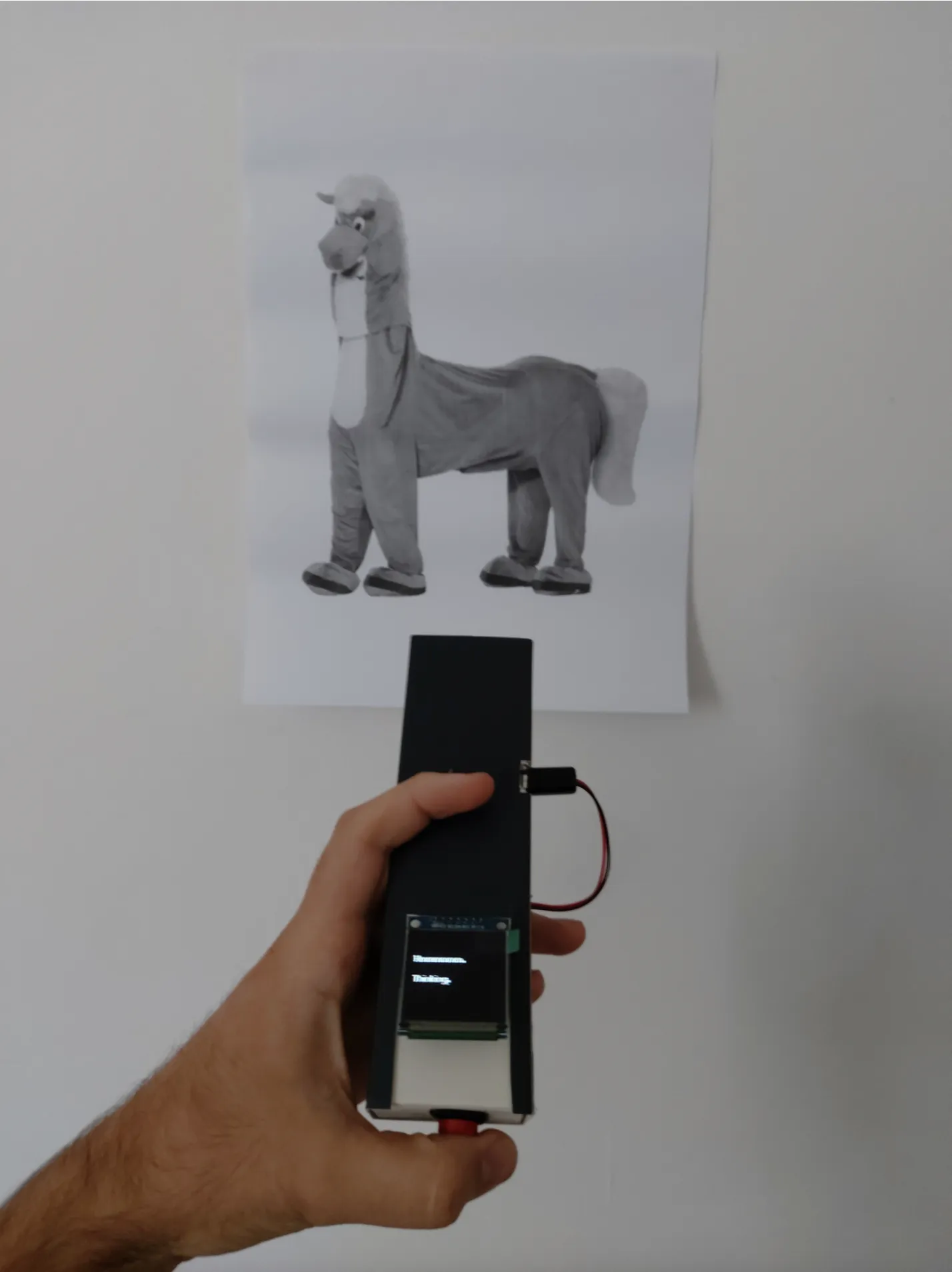 Testing the device on a printed horse picture