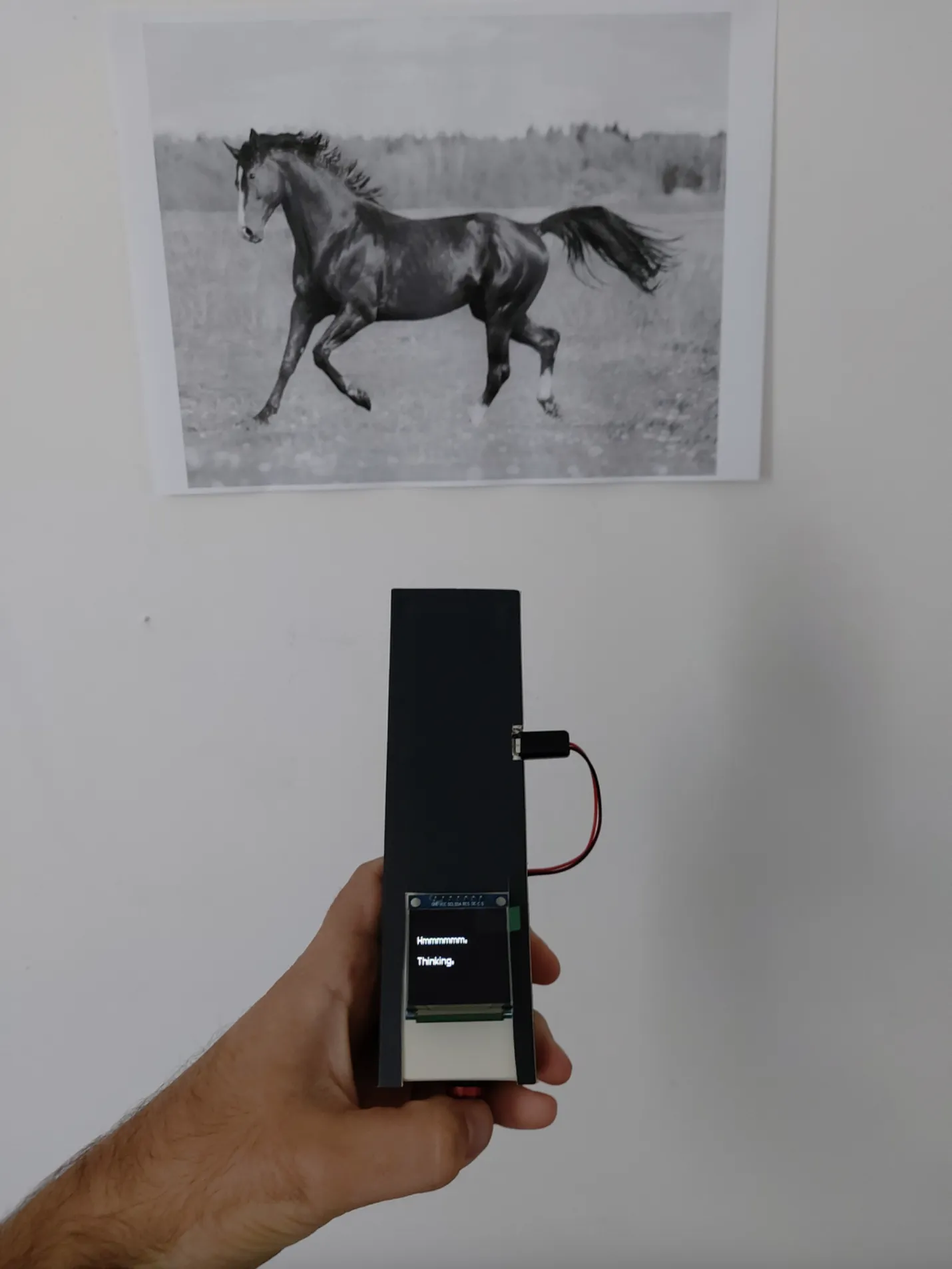 Testing the device on a real horse